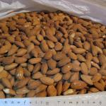 California Almond Nuts