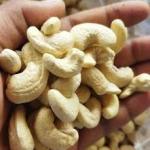 Cashew Nuts