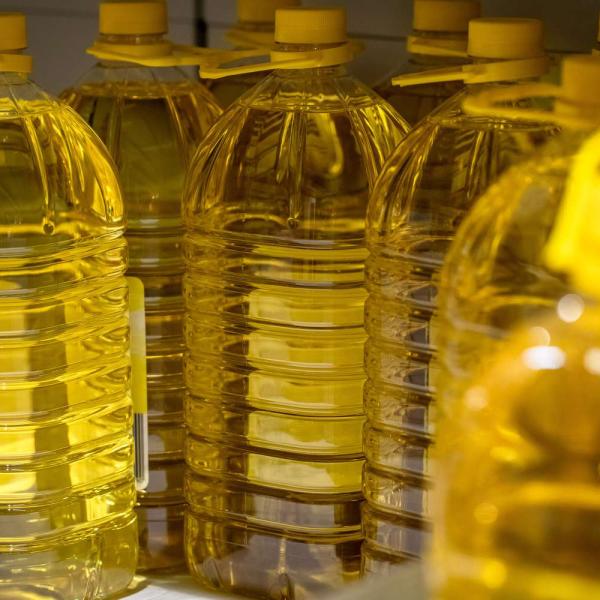 Sunflower Oil