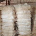 Sisal Fibre